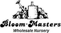 Bloom-Masters